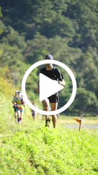 BIB:  <button type="button" onclick="openModal(26578566)" class="btn btn-primary btn-sm float-right" data-toggle="modal" data-target=".modal-high-quality">
                <i class="fa fa-download"></i> Download
                </button>